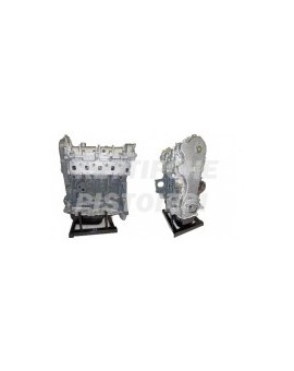 Ford 1300 Multijet Motore Revisionato Semicompleto 169A5000