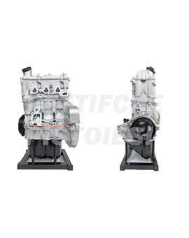 Smart 700 benzina Motore Revisionato Semicompleto 15